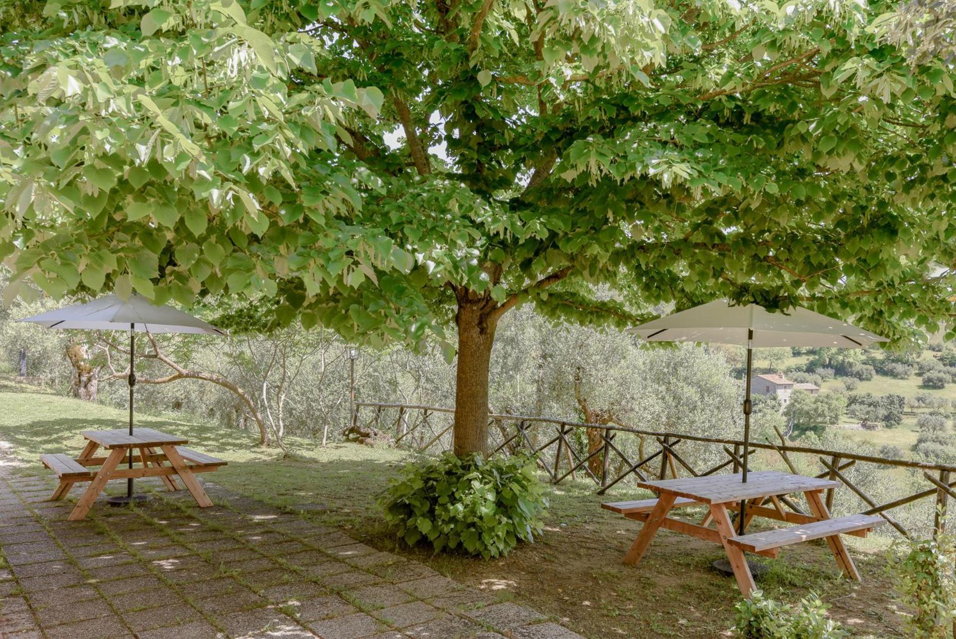 Agriturismo Il Mulino Delle Canutole Magione Exterior photo